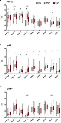 Aspergillus fumigatus binding IgA and IgG1 are increased in bronchoalveolar lavage fluid of horses with neutrophilic asthma